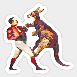 Kangaroo Boxing Sticker